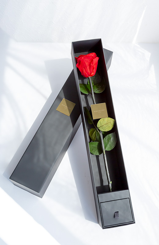 ザ･ワンスペシャルエディション