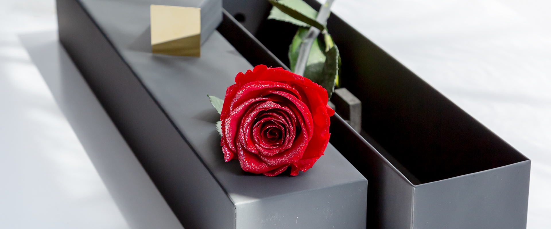 ”ザ･ワンスペシャルエディション”