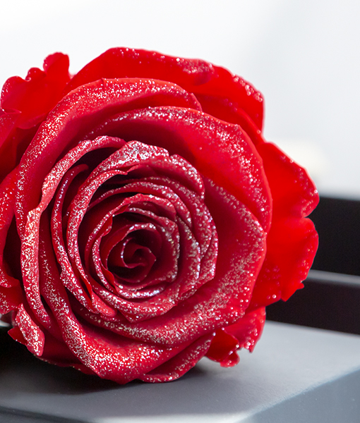 薔薇の花