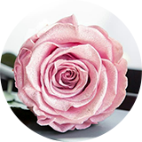 フェミニンピンク