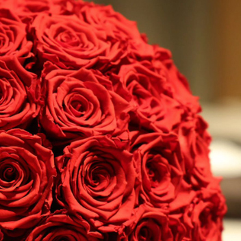 ダイヤモンドローズ(L)/セブンラック | ローズギャラリー銀座