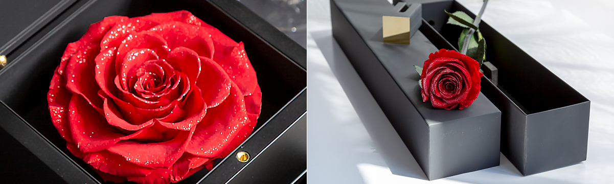 ”ダイヤモンドローズ”