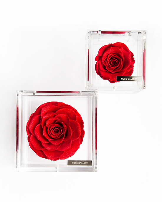 SPRING GIFT