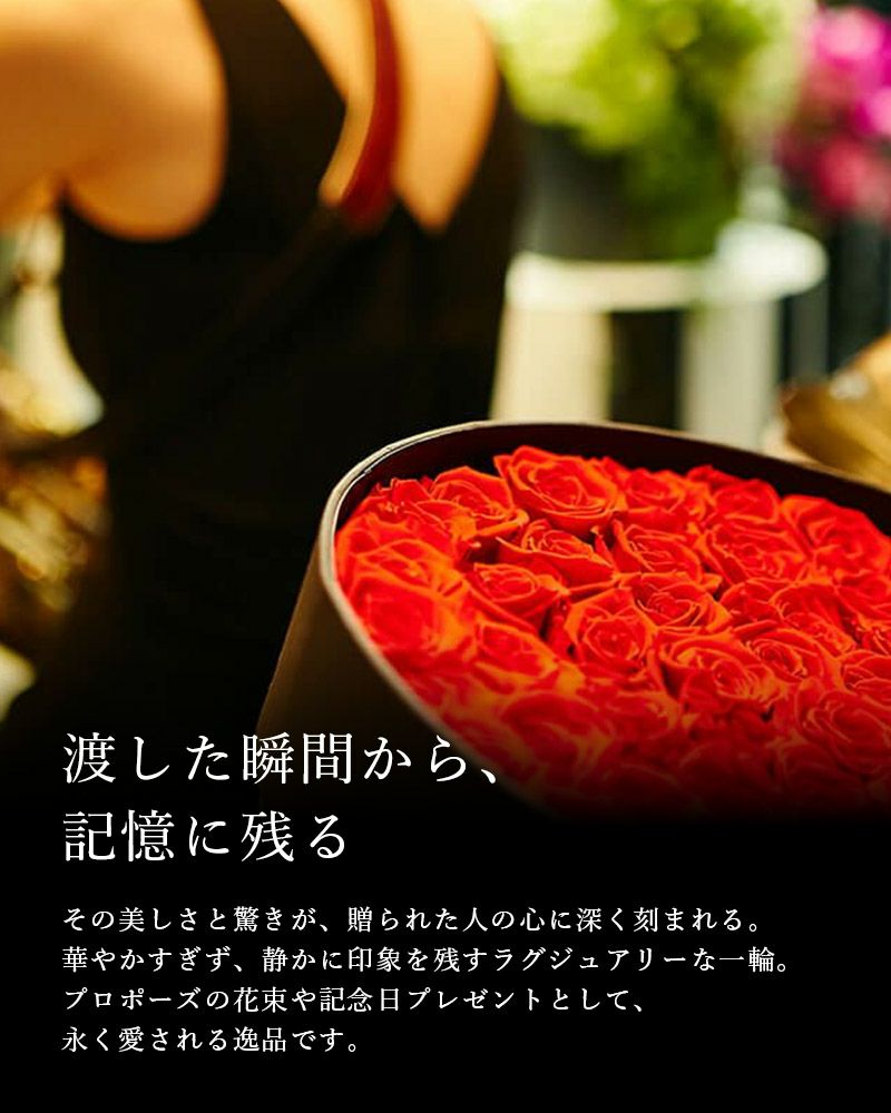 洋次郎　ローズアター他13本 ローズスタート 1袋150g入り - Start 150g – David Austin Roses Japan