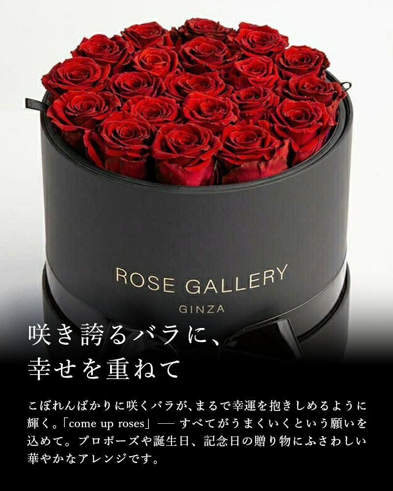 えっさん専用　薔薇のステンシルが可愛いふりふりコーナーラックローズ棚2台おまとめ Amazon | ステンシルシート バラ 18x28cm 薔薇 | テンプレート 通販