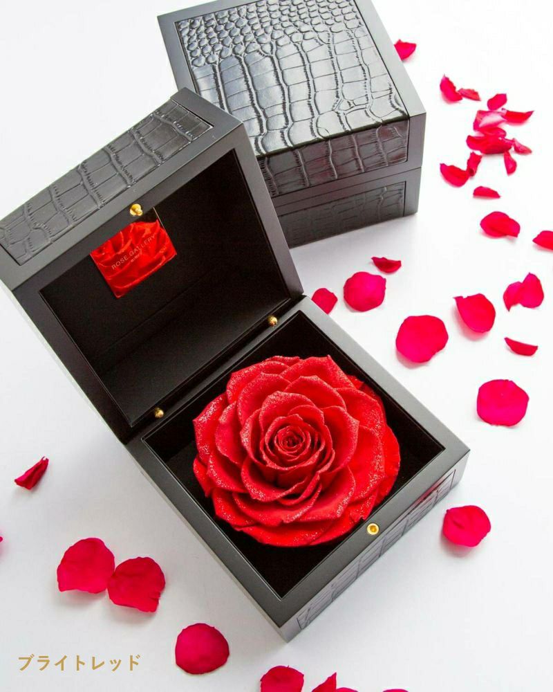 ROSE GALLERY GINZA　ダイアモンドローズ　Mブライトレッド ROSE GALLERY GINZA ダイアモンドローズ Mブライトレッド 【公式通販】