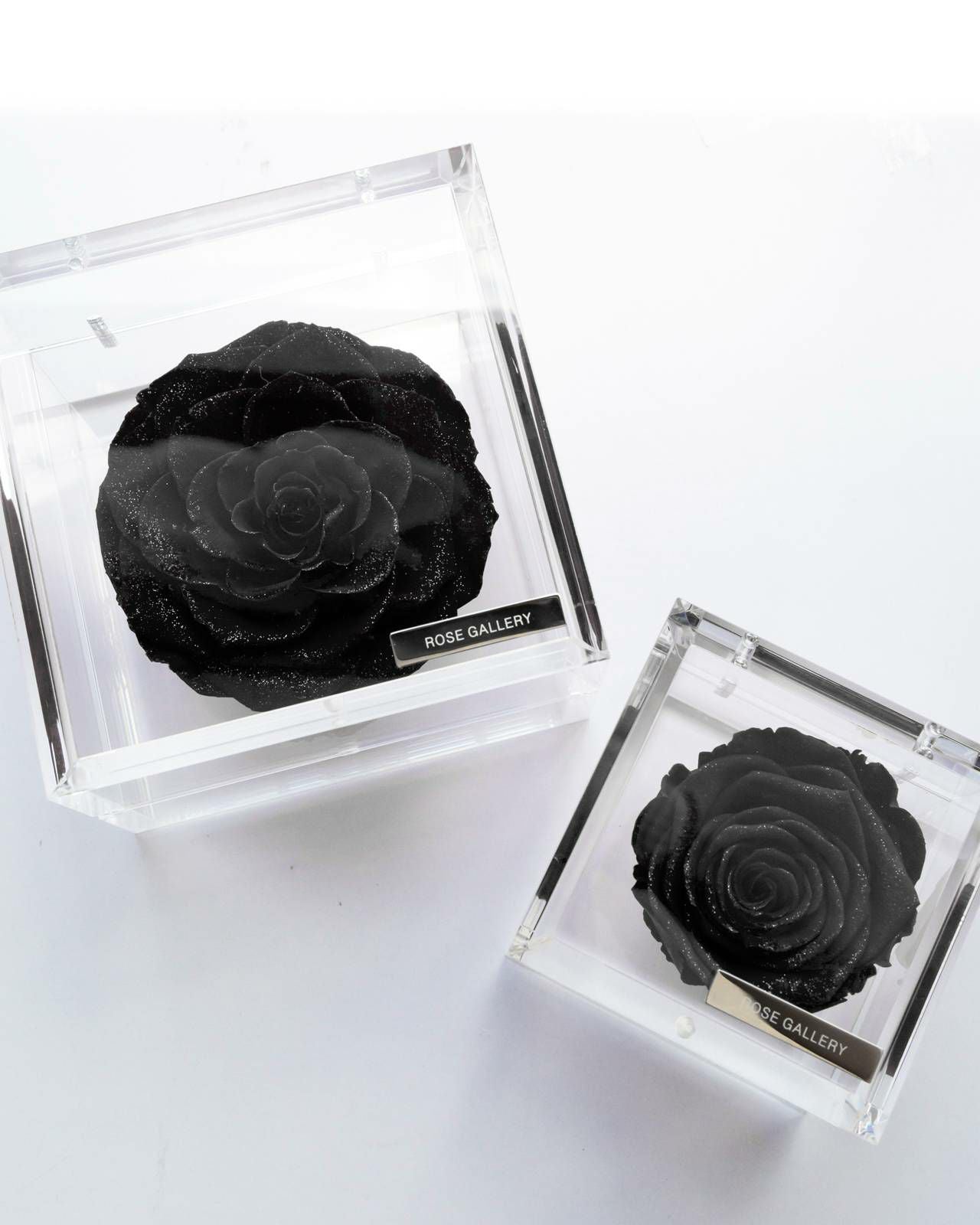 ROSE ローズギャラリー　ミュゼ　アクリル　ダイヤモンドローズ　2個セット ミュゼ ダイヤモンドローズボックス(L) | ローズギャラリー銀座