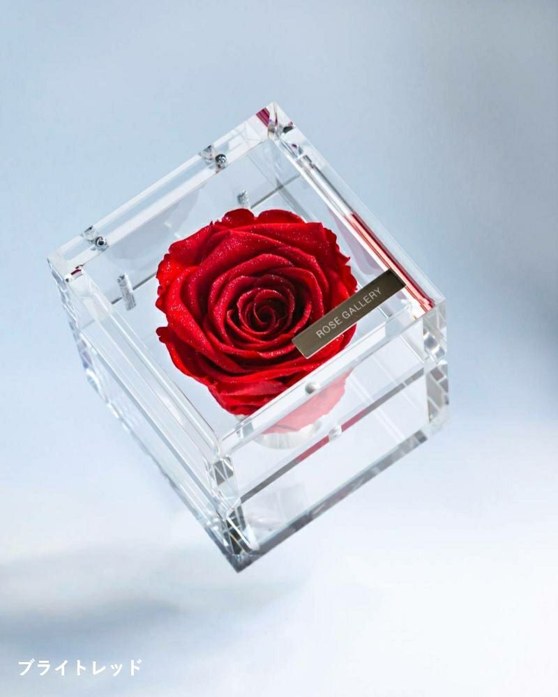 000000000055-01.jpg?size=l&w=