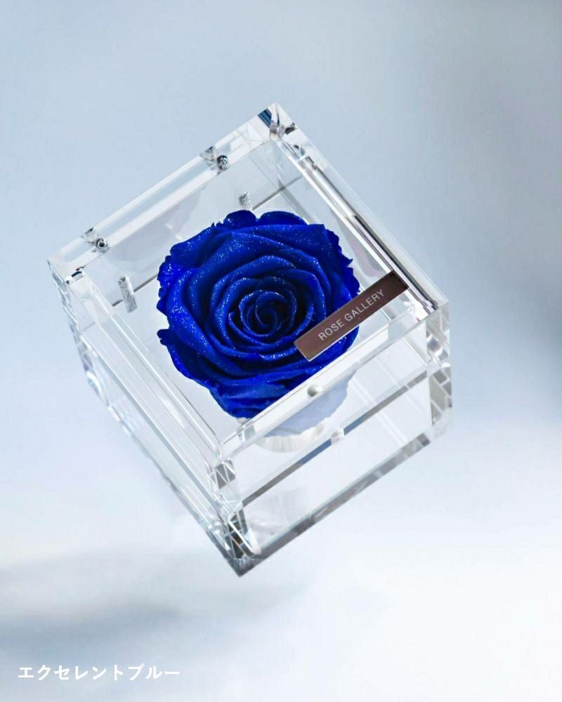 000000000055-02.jpg?size=l&w=