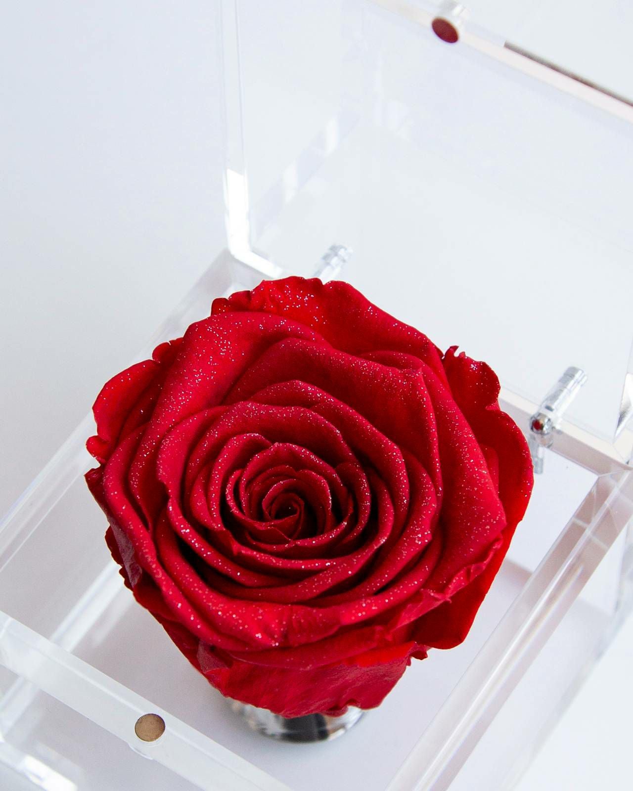 ミュゼ ダイヤモンドローズボックス(M) | ローズギャラリー銀座