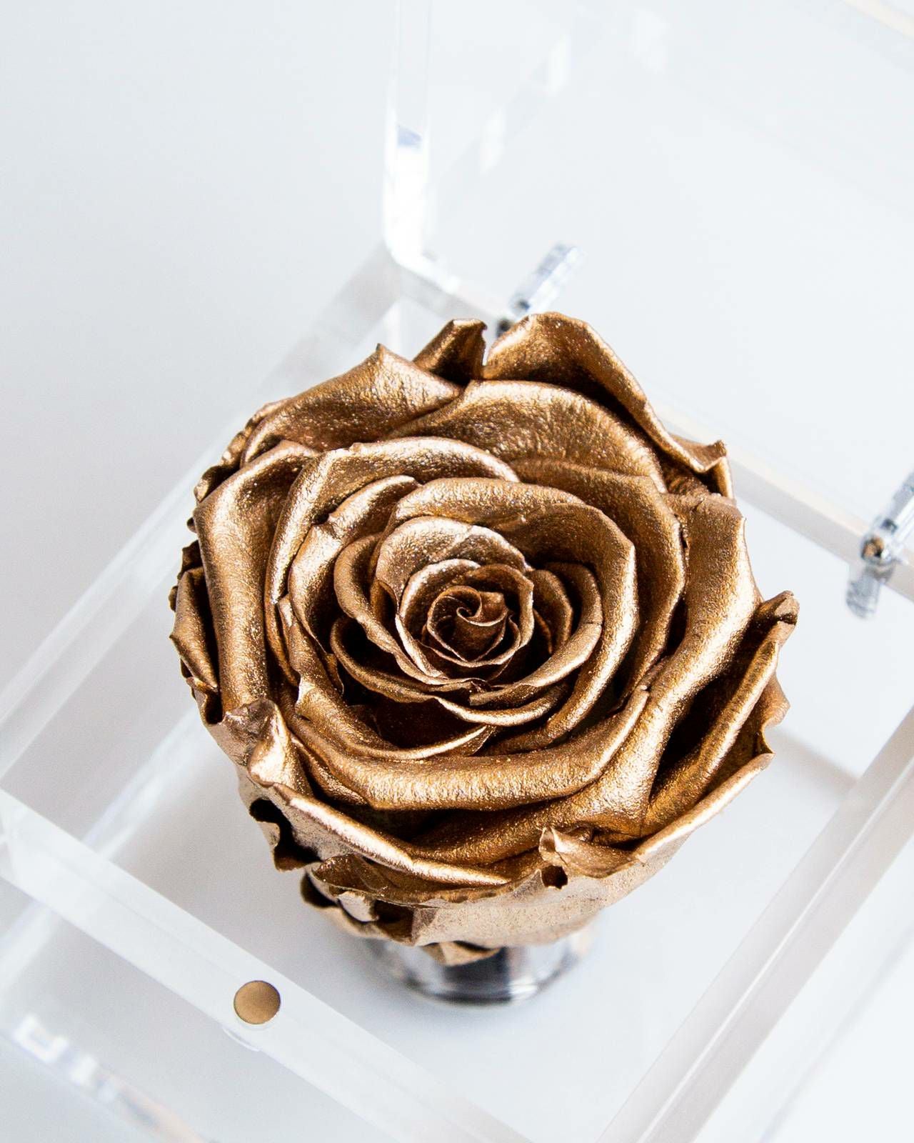 ミュゼ ダイヤモンドローズボックス(M) | ローズギャラリー銀座