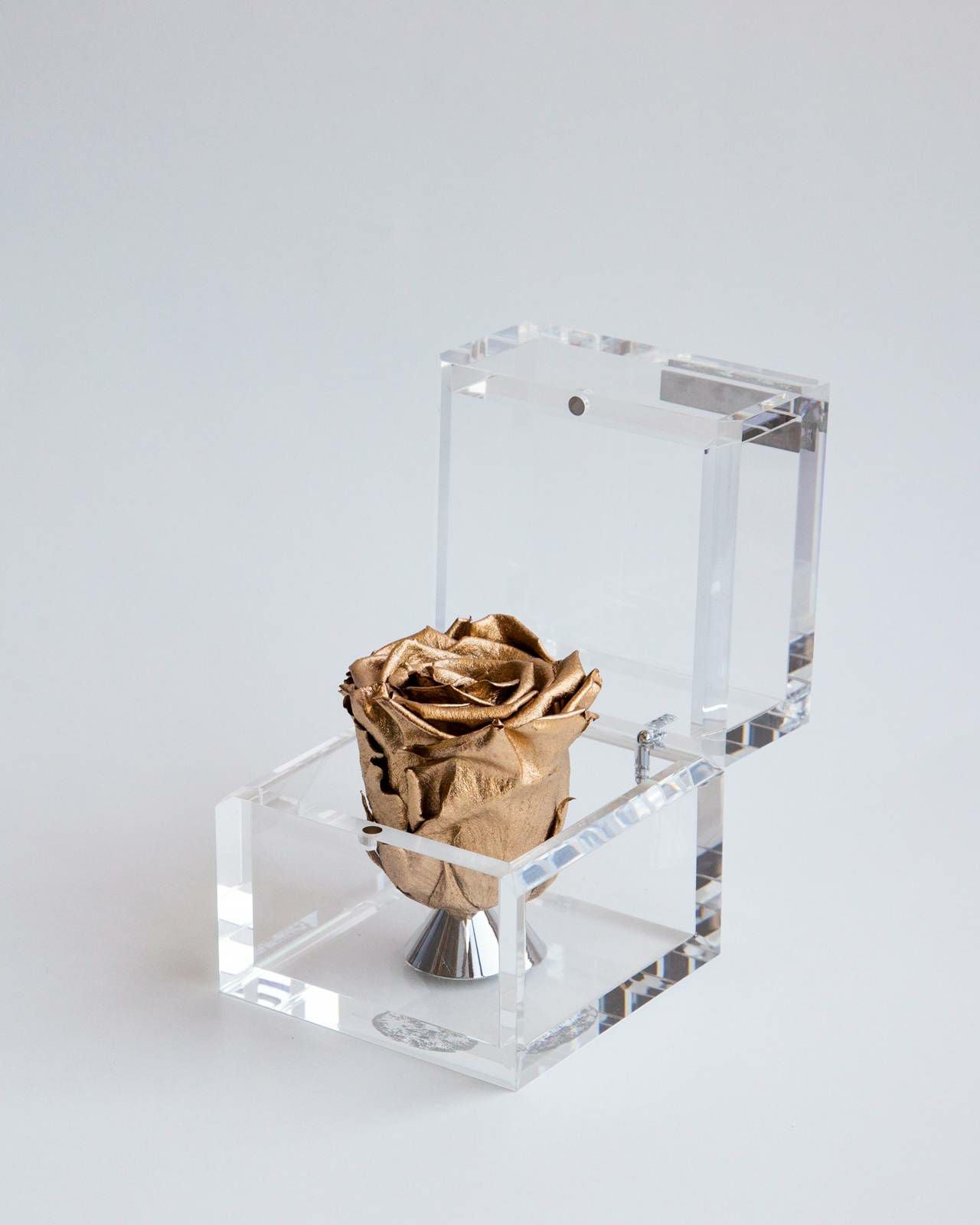 ミュゼ ダイヤモンドローズボックス(M) | ローズギャラリー銀座