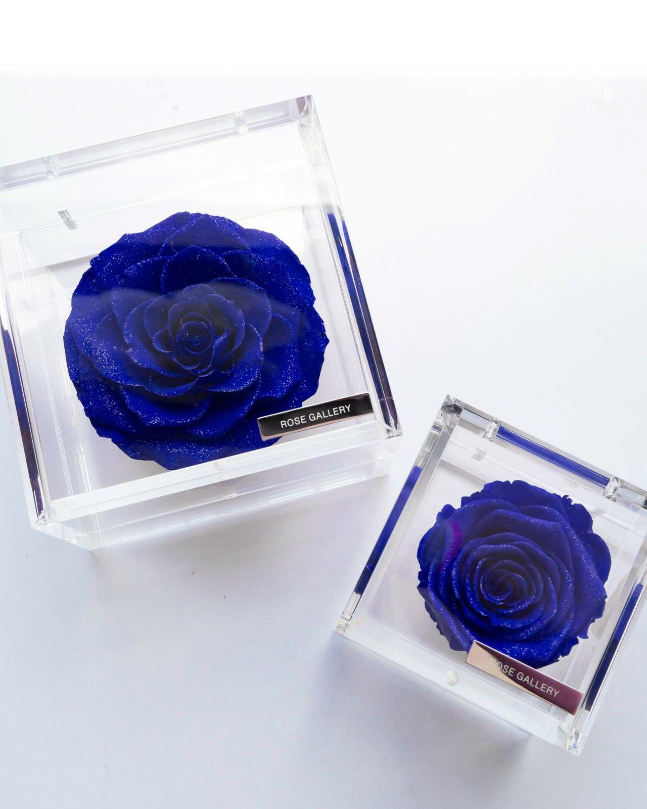 ミュゼ ダイヤモンドローズボックス(M) | ローズギャラリー銀座