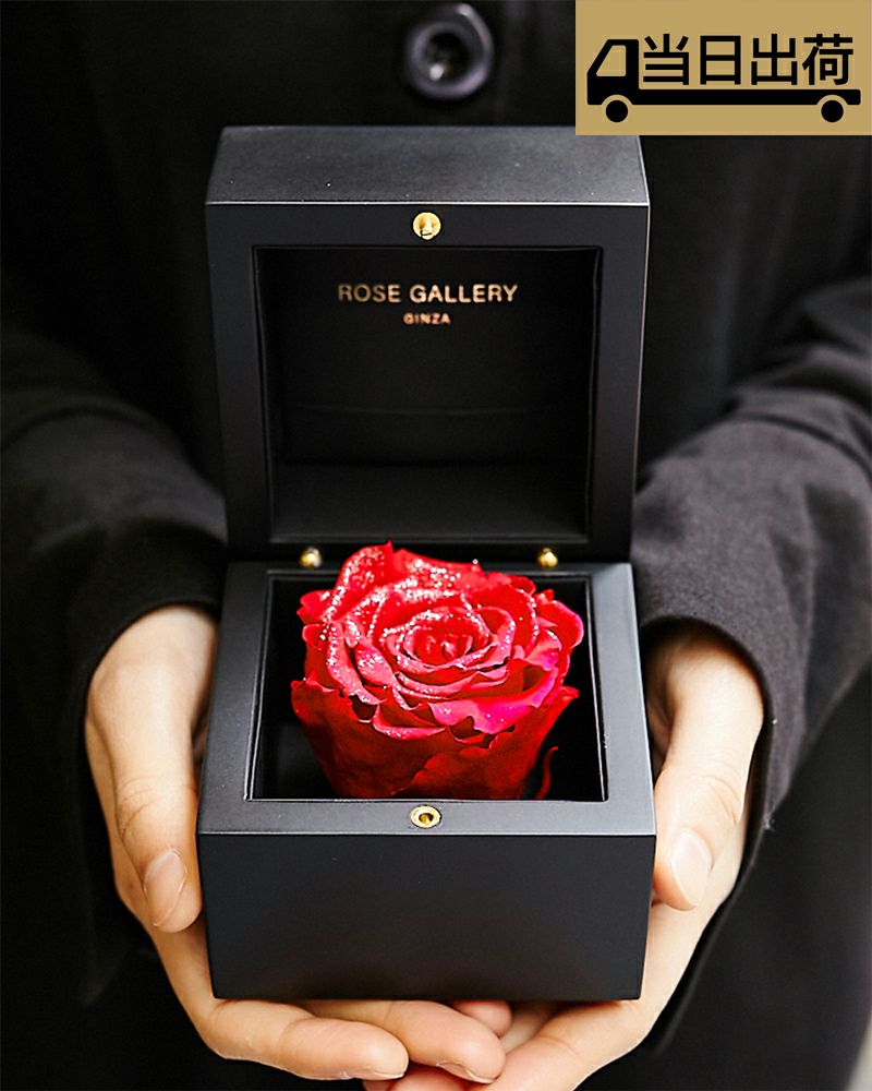 ROSE GALLERY GINZA　ダイアモンドローズ　Mブライトレッド クイックアイテム】ダイヤモンドローズ(M)/ブライトレッド | ローズ