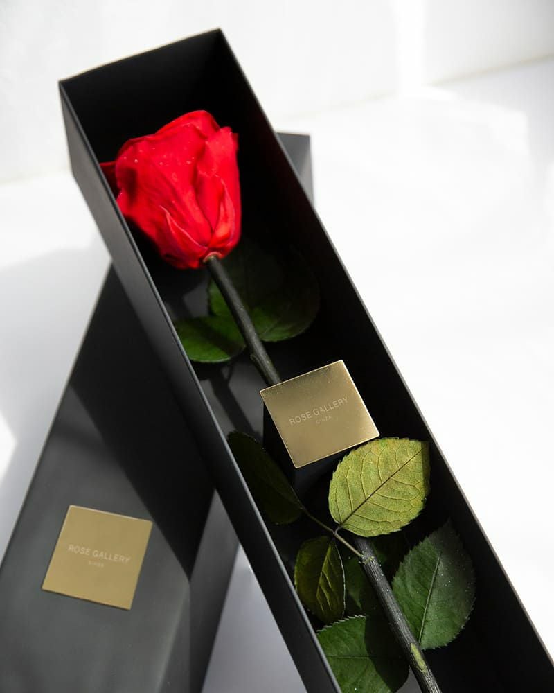 s*o様 rose gallery ginza イニシャル　プリザーブドフラワー カムアップローゼスイニシャル(L) | ローズギャラリー銀座 オンライン