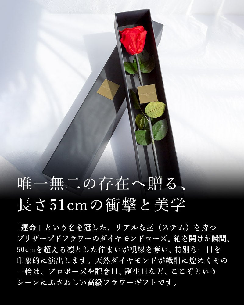000000000060-19.jpg?size=l&w=